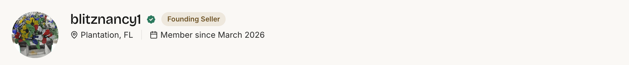 A StillSparkly shop page header with a verified checkmark, seller location, and member-since date