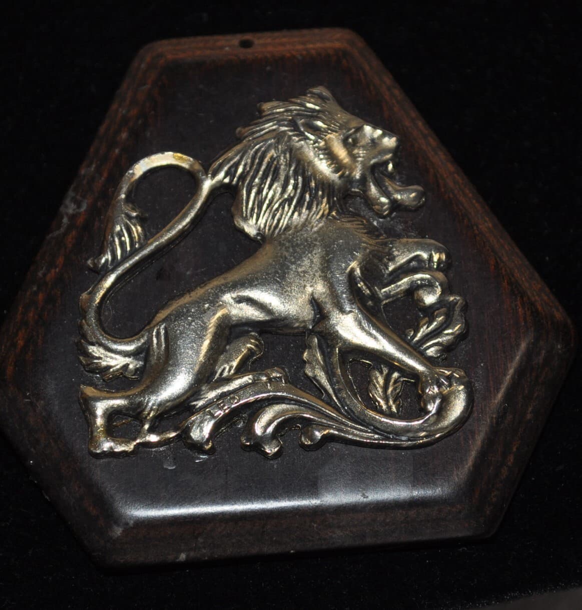 vintage HERALDIC lion Coat of arms Pendant 1950's 60's zodiac LEO