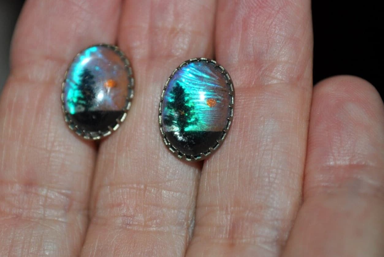 Vintage 1950's Clear Encased Butterfly Wings Country Scene Silver Tone Earrings