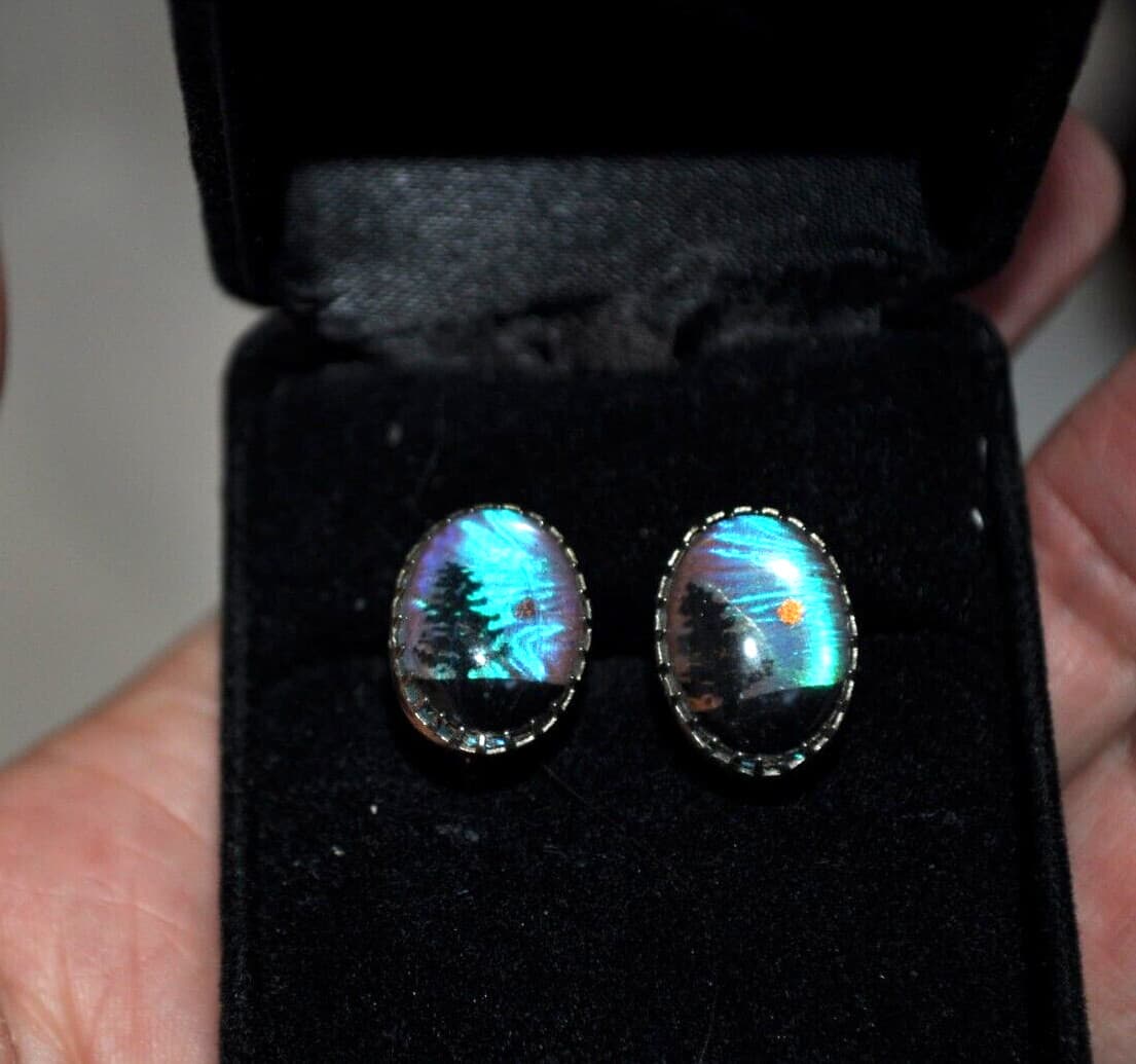 Vintage 1950's Clear Encased Butterfly Wings Country Scene Silver Tone Earrings