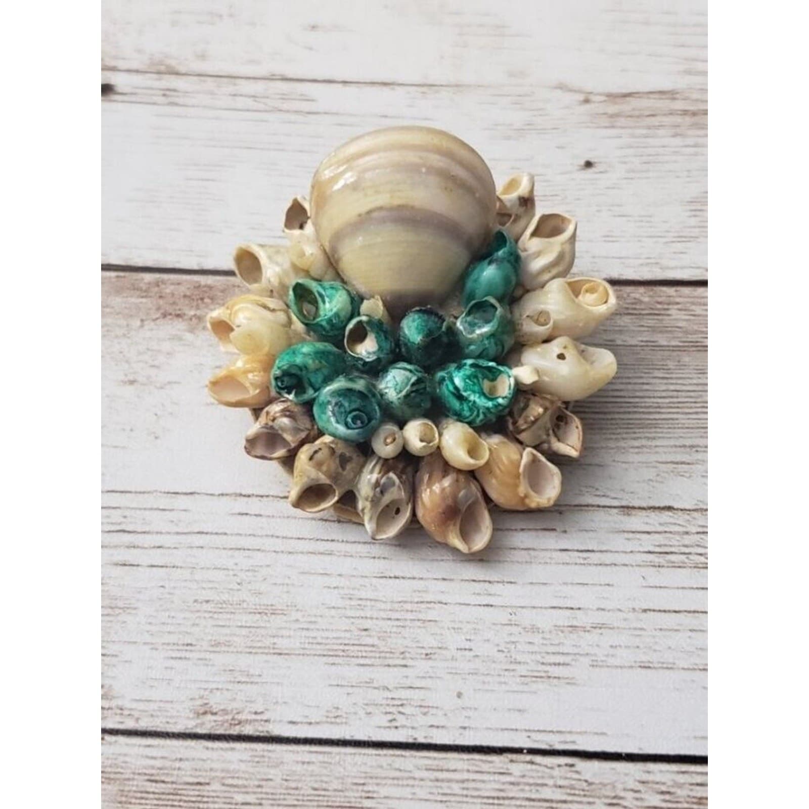 Vintage Brooch / Pin - Large Circular Shells with Dark Aqua Color